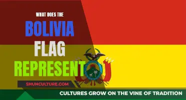 Bolivia's Flag: History and Symbolism Explained