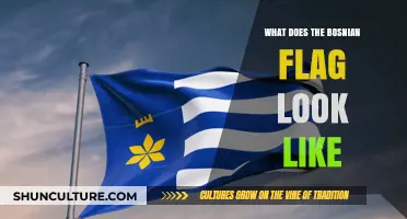 Exploring the Design and Symbolism of Bosnia and Herzegovina's Flag