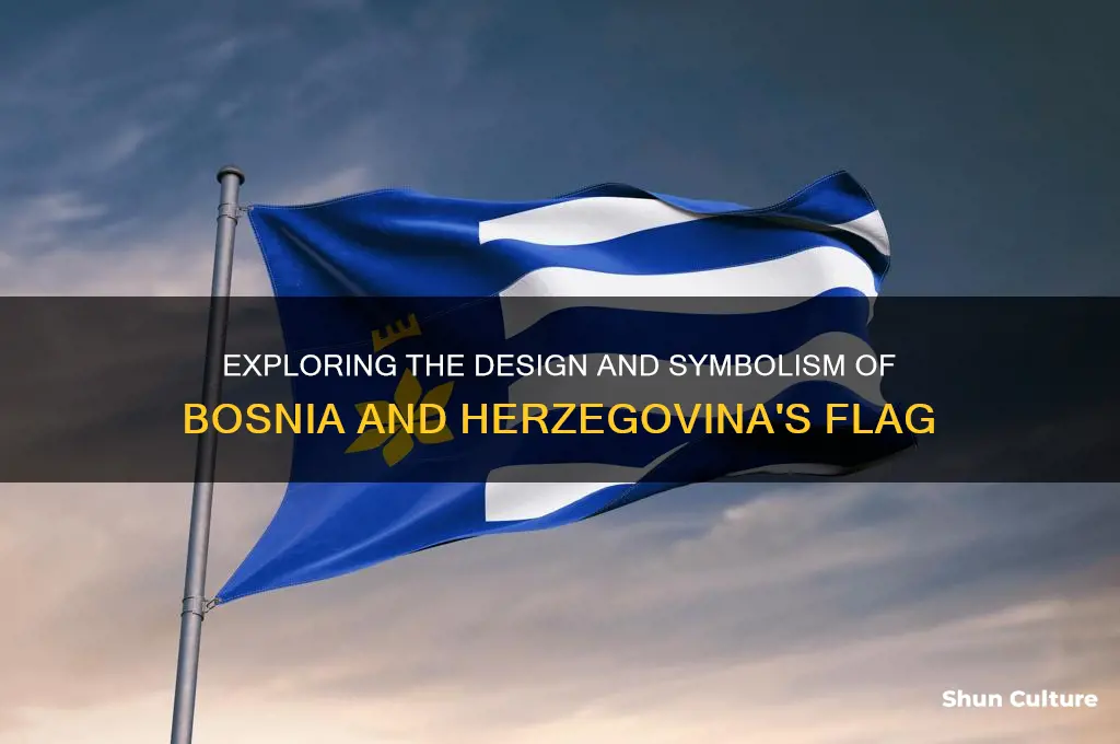 what does the bosnian flag look like
