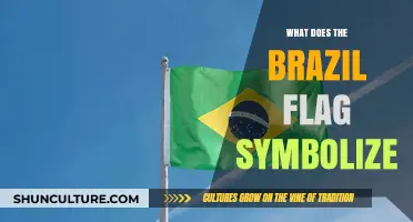 Unveiling Brazil's Flag: Colors, Stars, and National Identity Explained