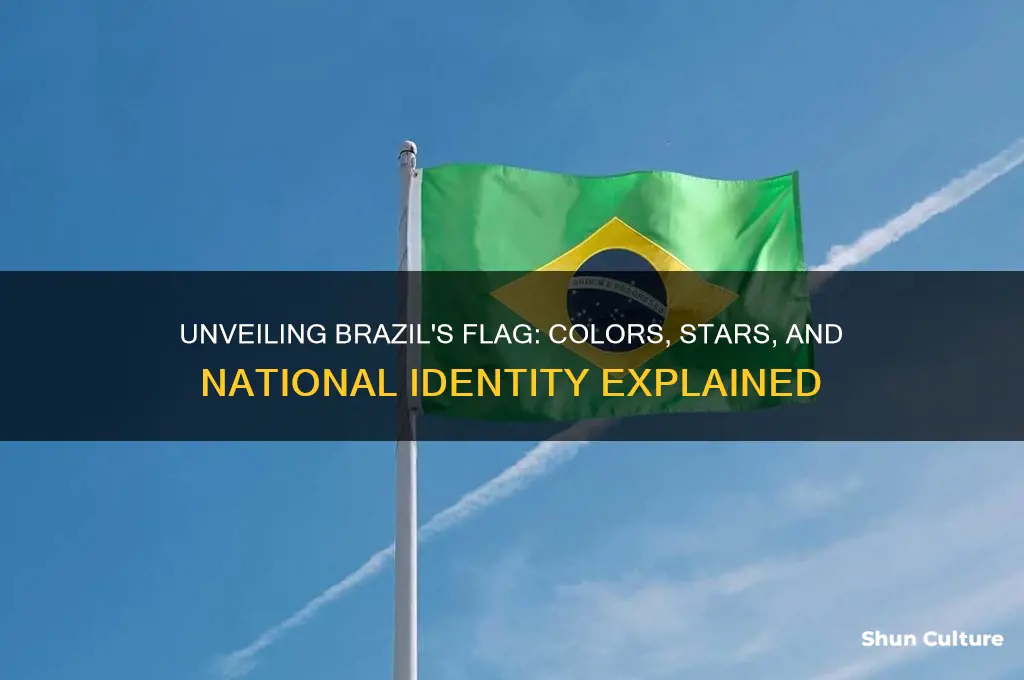 what does the brazil flag symbolize