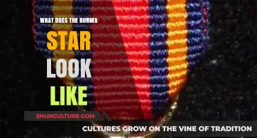 Unveiling the Burma Star: A Visual Guide to Its Appearance