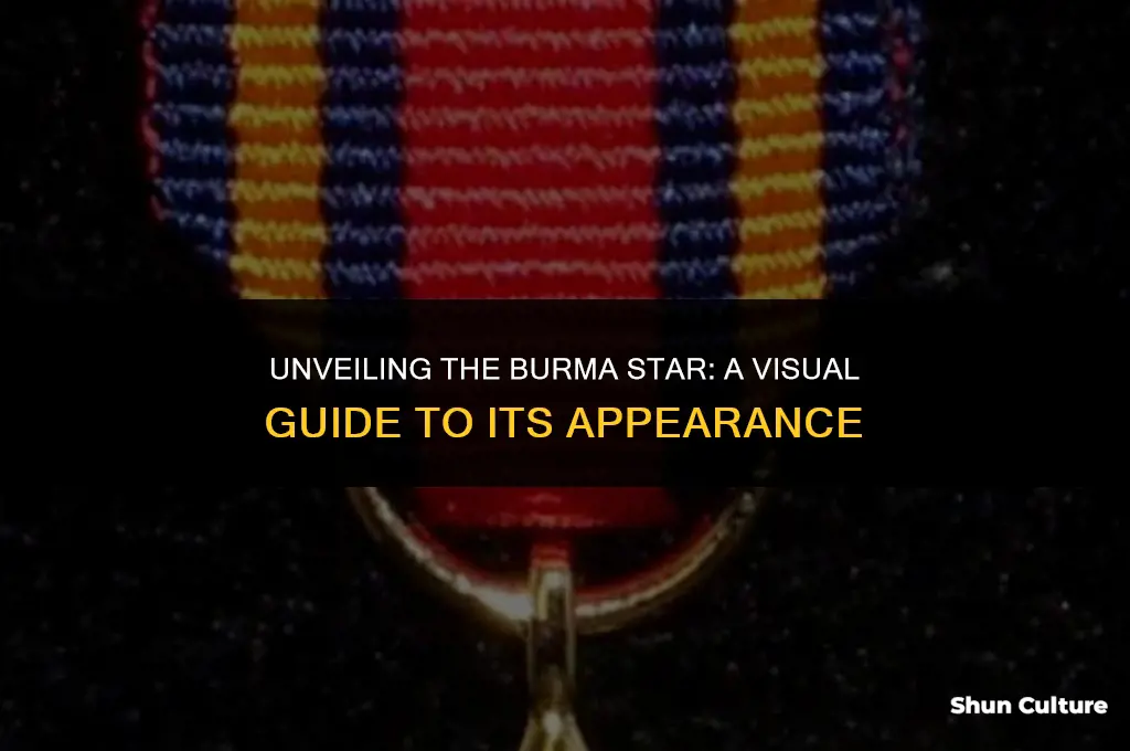 what does the burma star look like