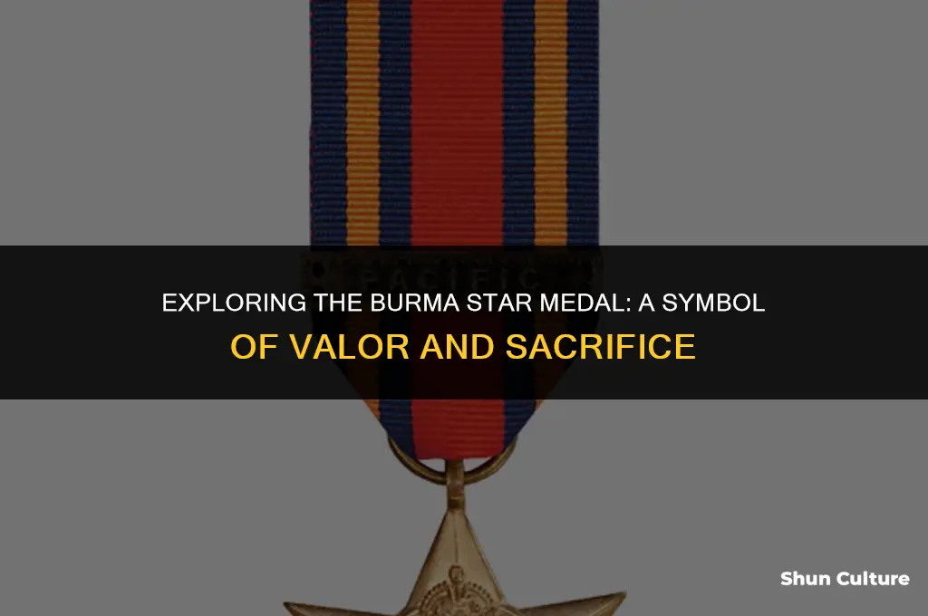 what does the burma star medal look like