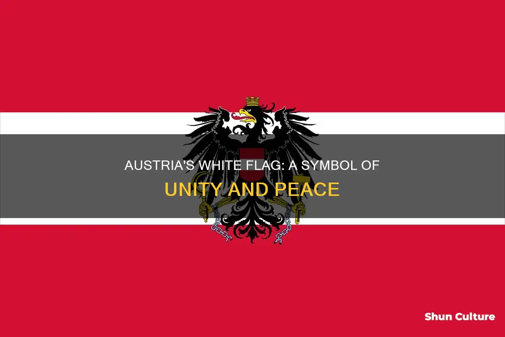 what does the color white represent on the austrian flag