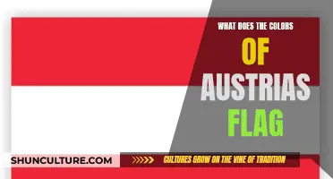 Austria's Flag: A Colorful History and Meaning