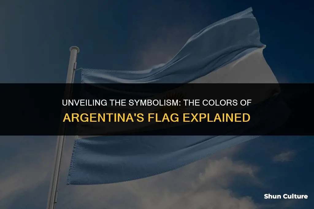 what does the colors on the argentina flag mean