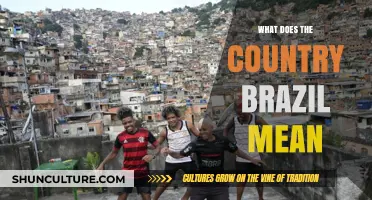 Understanding Brazil: Culture, History, and Significance of a Vibrant Nation