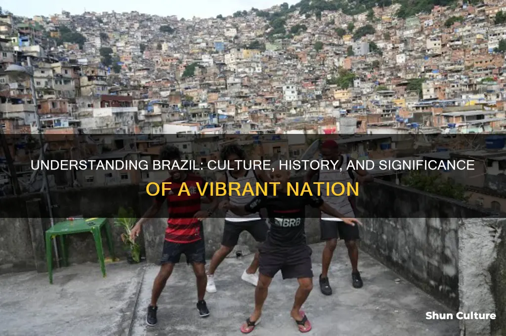 what does the country brazil mean