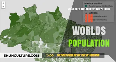 Brazil's Global Population Rank: Where Does It Stand Today?