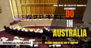 Executive Power: Australia's Governing Branch Explained