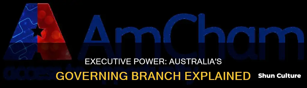 what does the executive branch of government do in australia
