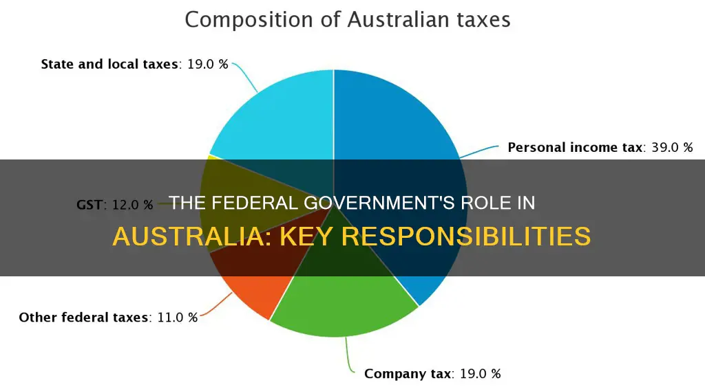 what does the federal government look after in australia
