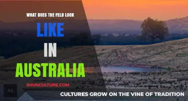 The Australian Feld: A Comprehensive Overview