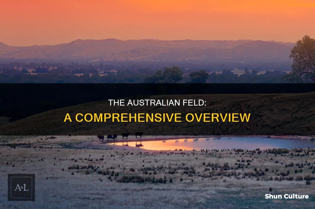 what does the feld look like in australia