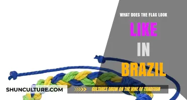 Exploring Brazil's National Flag: Colors, Symbols, and Their Meanings
