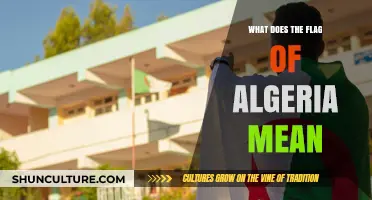 Understanding Algeria's Flag: Colors, Symbols, and Their Deep National Significance