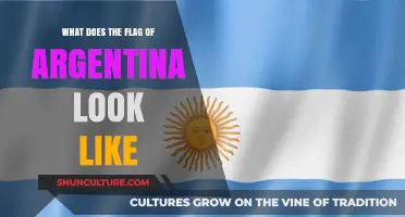 Exploring the Symbolism: A Detailed Look at Argentina's Flag