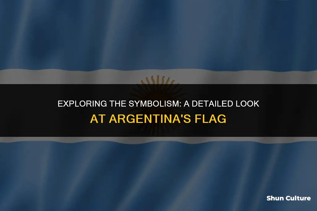 what does the flag of argentina look like