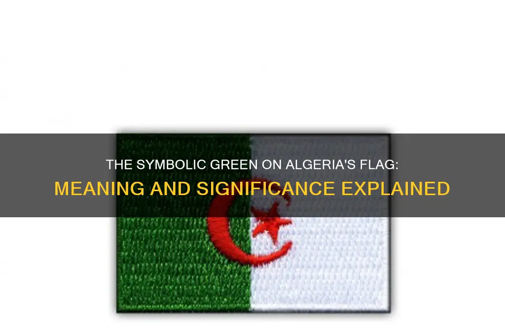 what does the green on the algerian flag stand for