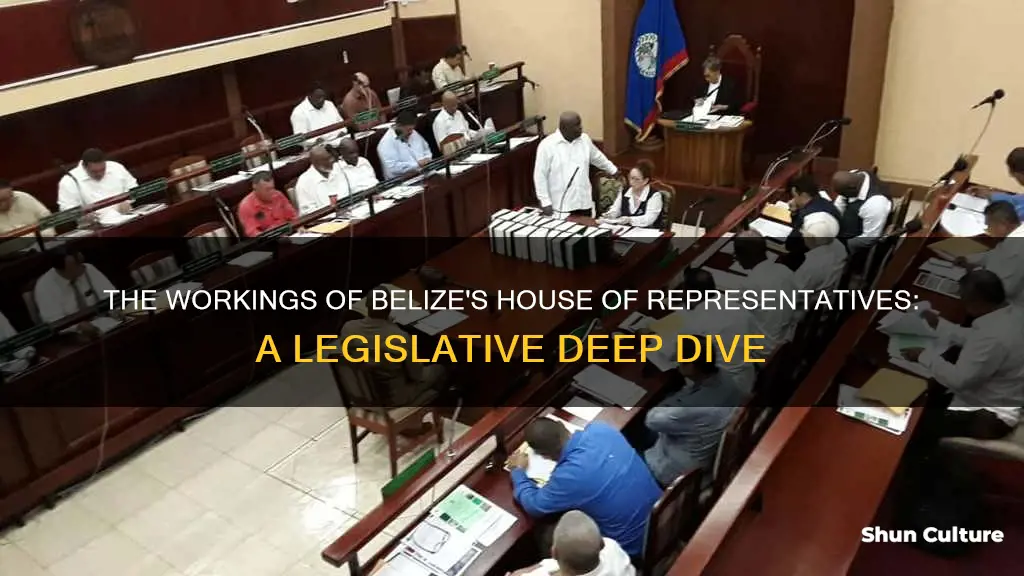 what does the house of representatives do in belize