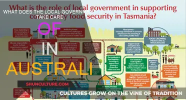 Local Government: Serving Australians' Everyday Needs