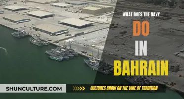 US Navy's Bahrain Base: Strategic Importance and Operations