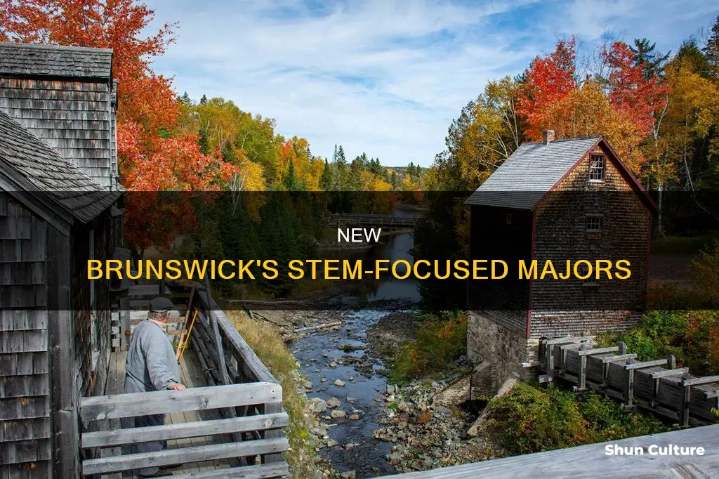 what does the new brunswick 2 major