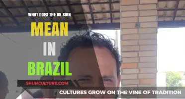 The OK Sign in Brazil: Cultural Meaning and Misinterpretations Explained