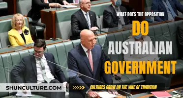 Opposition's Role: Australian Government's Checks and Balances