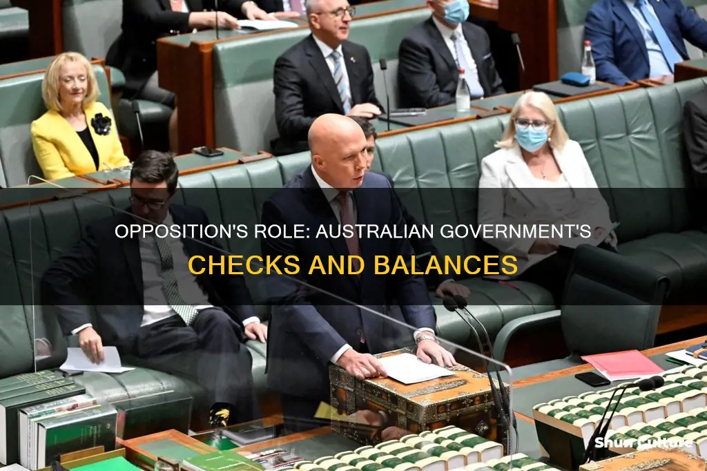 what does the opposition do australian government