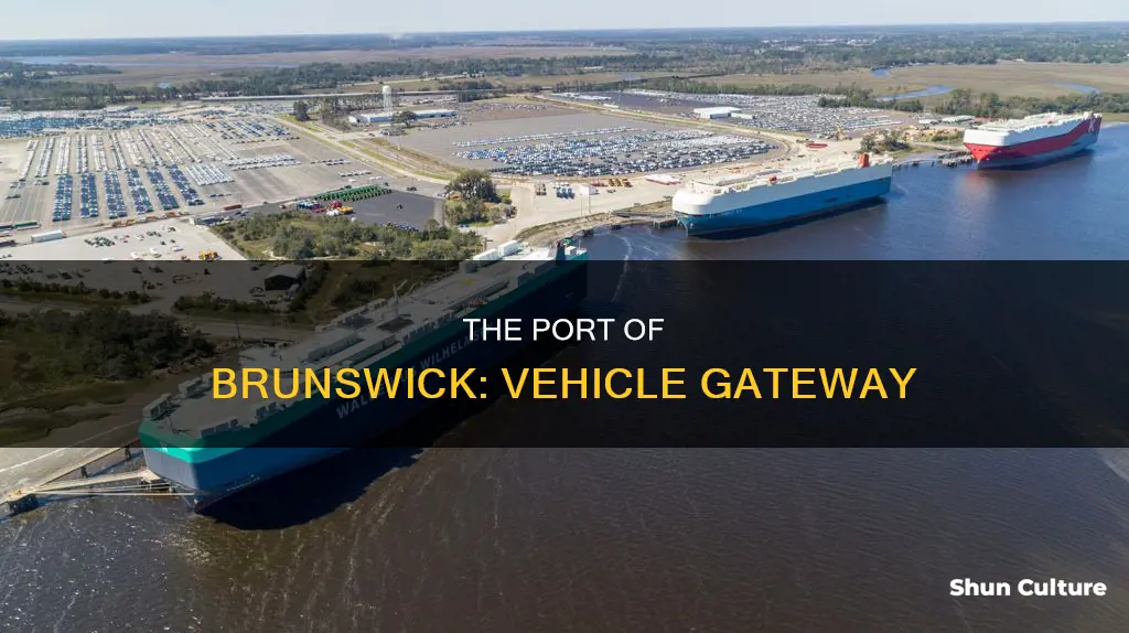 what does the port of brunswick specialize in