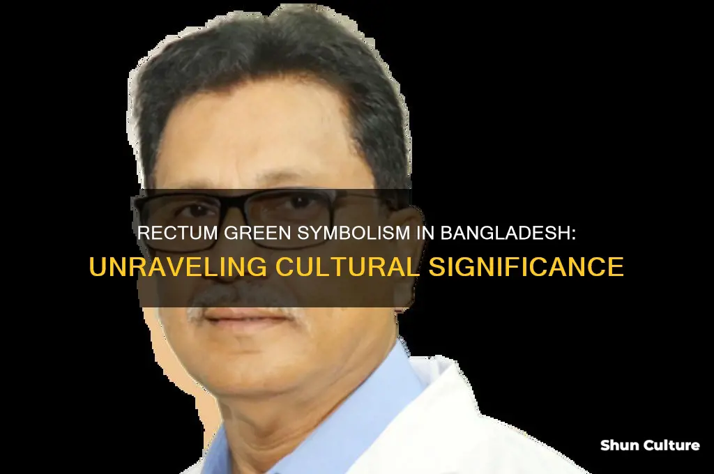 what does the rectum do green represent in bangladesh
