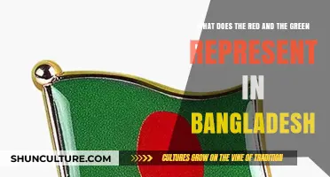 Unveiling Bangladesh's Flag: The Symbolism Behind Red and Green