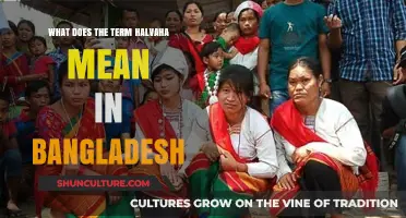 Understanding Halvaha: Cultural Significance and Meaning in Bangladesh Explained