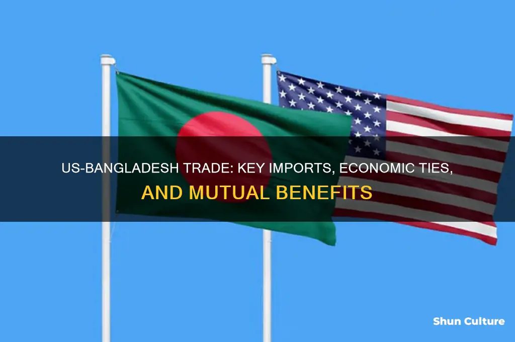 what does the us get from bangladesh