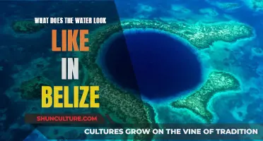 Belize's Underwater World: A Window to the Water's Clarity and Color