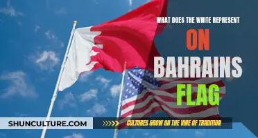 Bahrain's Flag: White Stripe's Meaning Explored