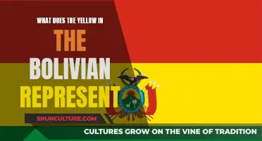 Bolivia's Flag: Yellow's Meaning and History