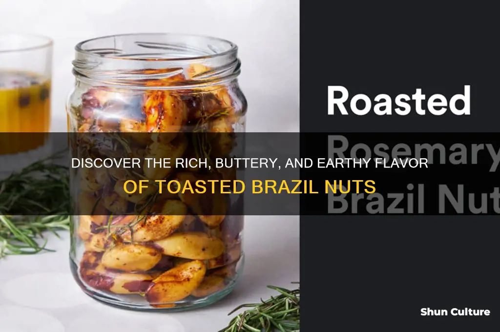 what does toasted brazil nut taste like