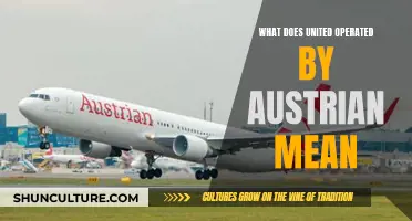 United Airlines: Austrian Ownership, Global Reach