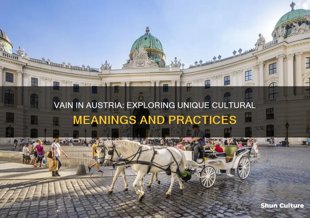 what does vain mean in austria
