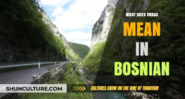 Unveiling the Meaning of Vrbas in Bosnian Language and Culture