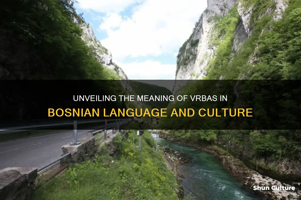 what does vrbas mean in bosnian