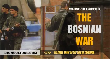 Unraveling VRS: Understanding the Bosnian War Acronym and Its Significance