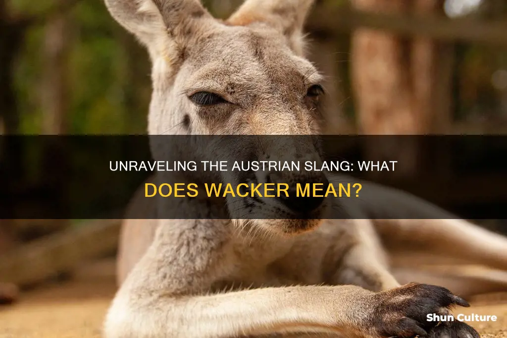 what does wacker mean in austrian