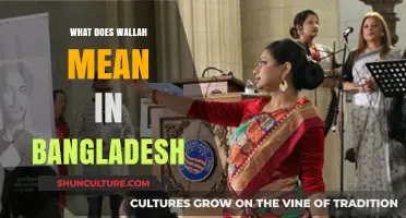 Understanding 'Wallah' in Bangladesh: Origins, Usage, and Cultural Significance