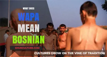 Understanding Wapa: Exploring the Meaning and Usage in Bosnian Culture