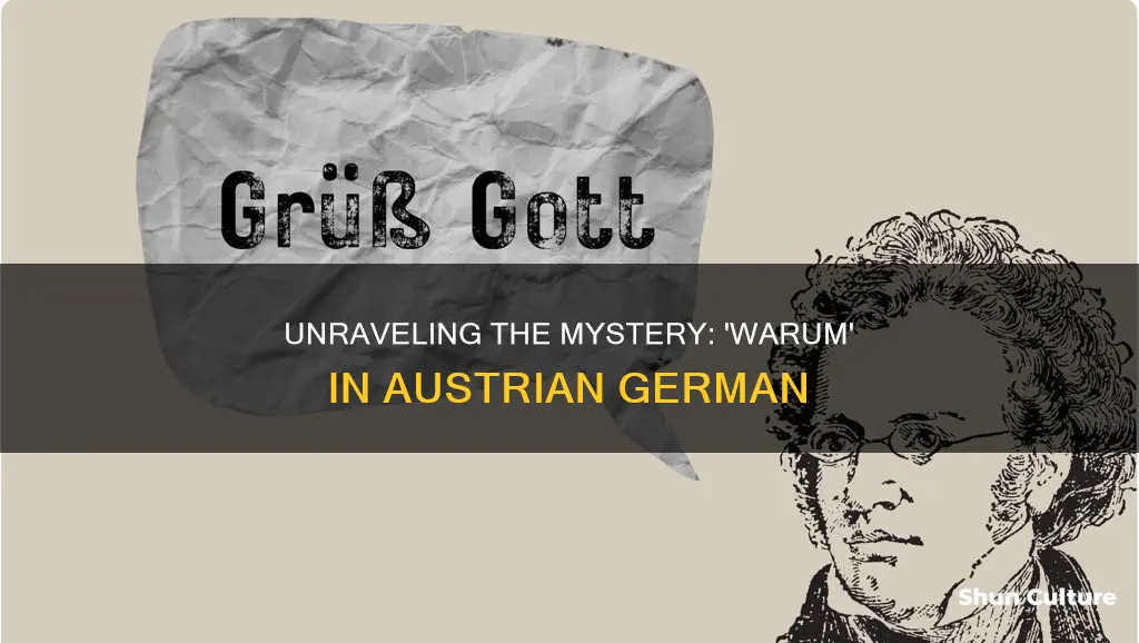 what does warum mean in austrian