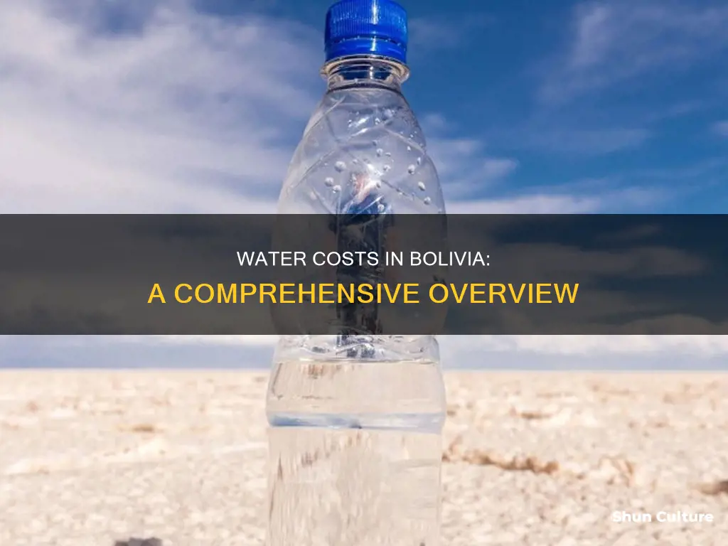 what does water cost in bolivia